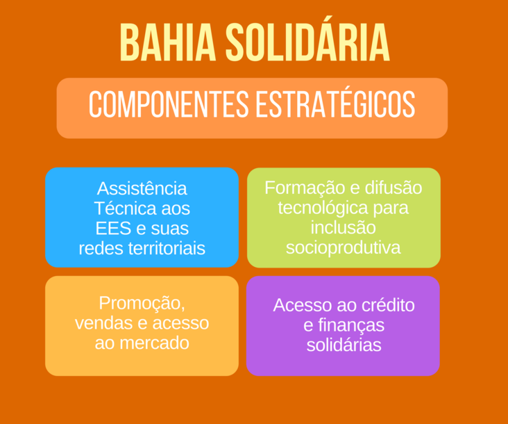 Bahia Solidária - Componentes estratégicos